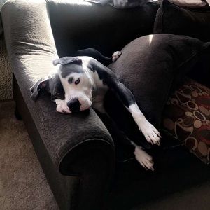 Meet your Posher, M!